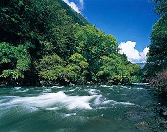 国产侦探文字推理《双盲把戏》现已上线Steam